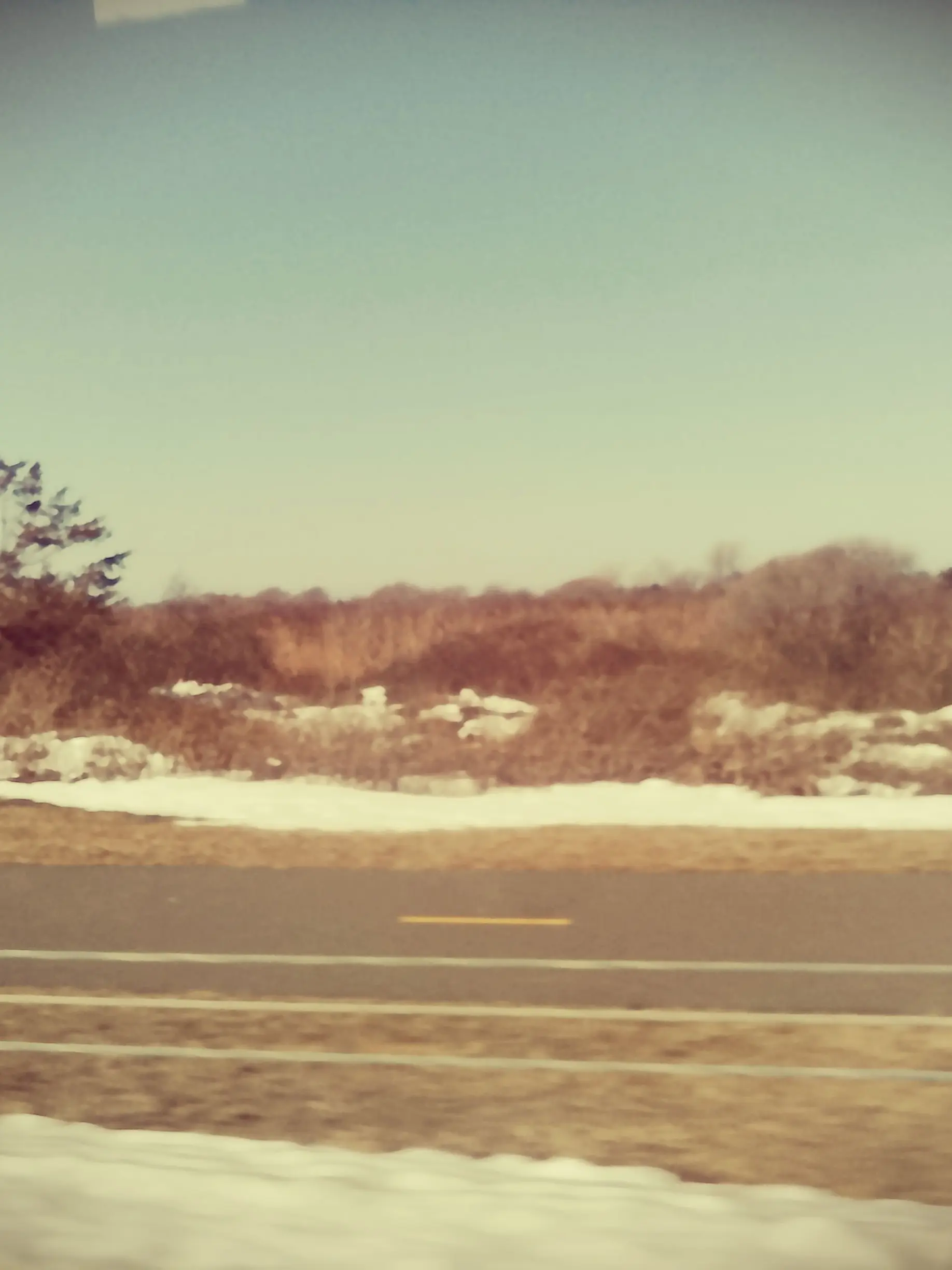 PotentLoach8327의 Martha's Vineyard