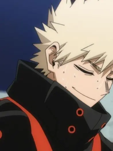 SharpBroth1505의 Bakugo sends you away ig