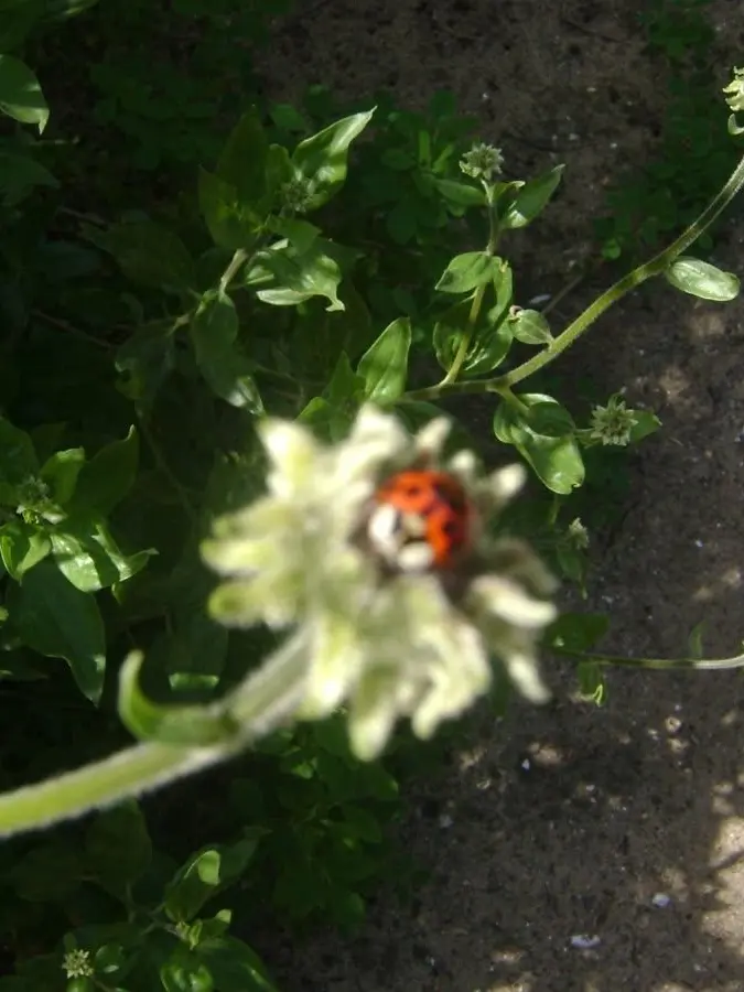 gaegsil-eun_eotteohge의 倦怠