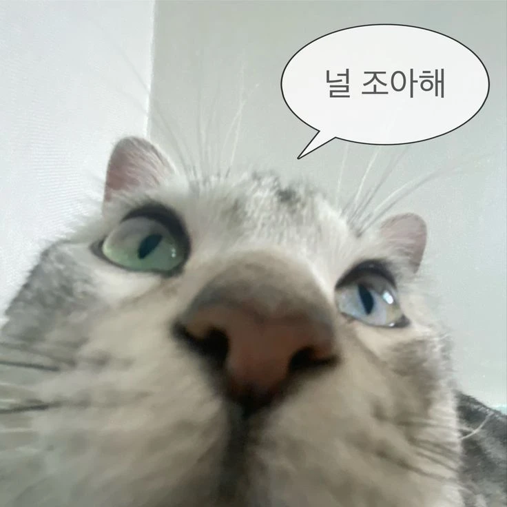 孤爪 研磨