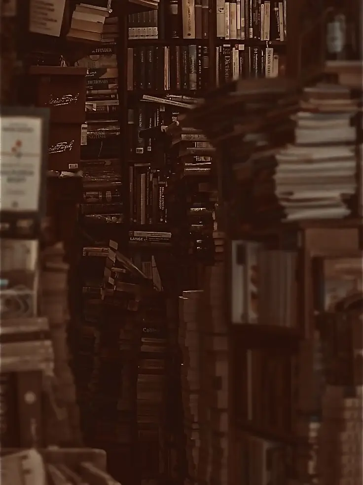 or_y0e.의 📚𓈒𓋪‪