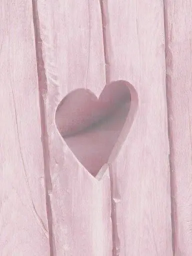 0401-0831의 가짜사랑💔
