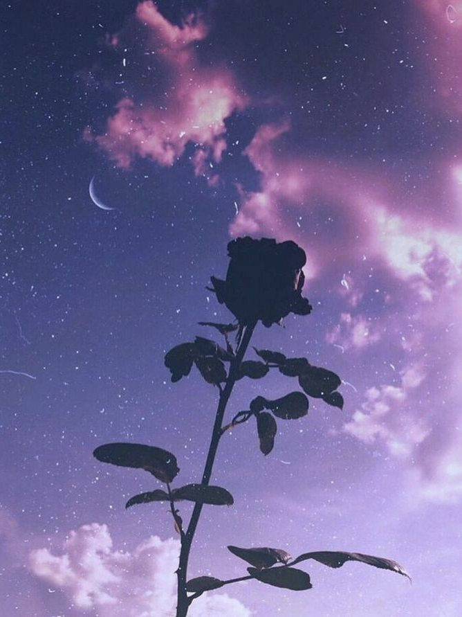 별빛 카페! 대표 이미지