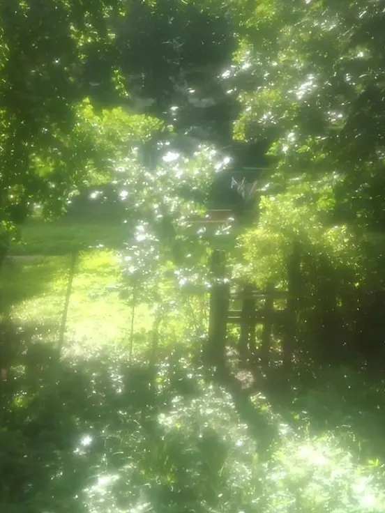 Onlydeliciousthings_의 그냥여름청춘학원물