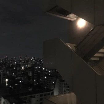 105 뜰팁조직