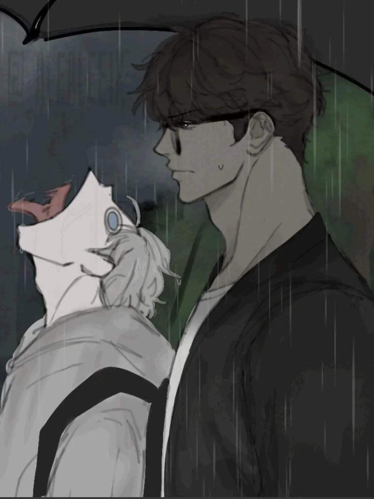 CattyRiver5099의 Werewolf x vampire user
