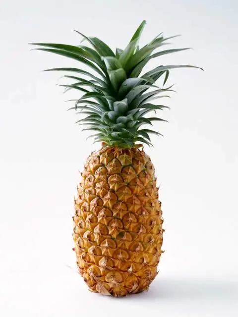 JollyGirl4748의 Pineapple☆
