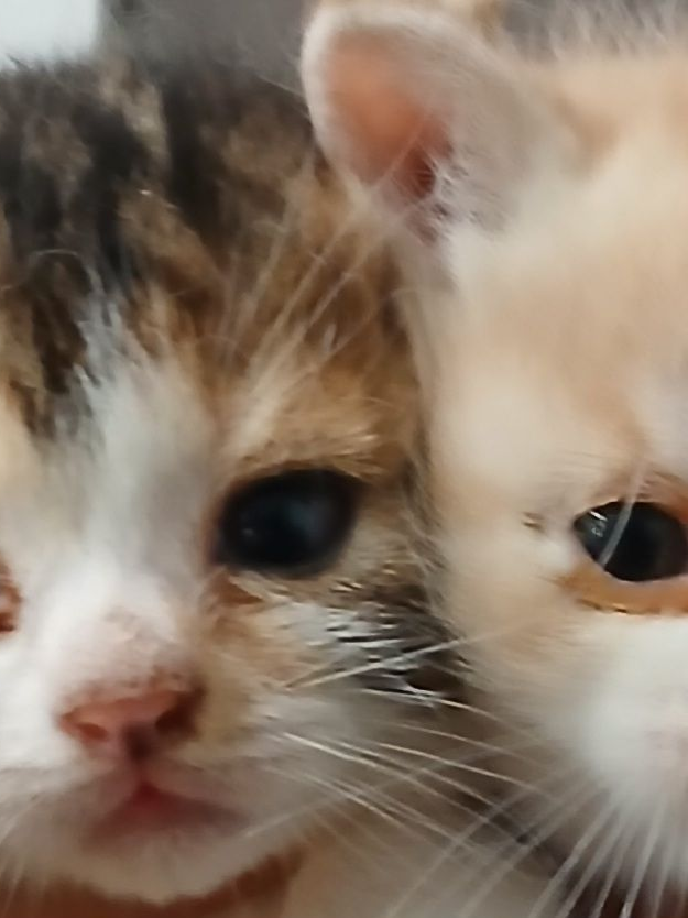 마.음.대.로~~~~ 대표 이미지