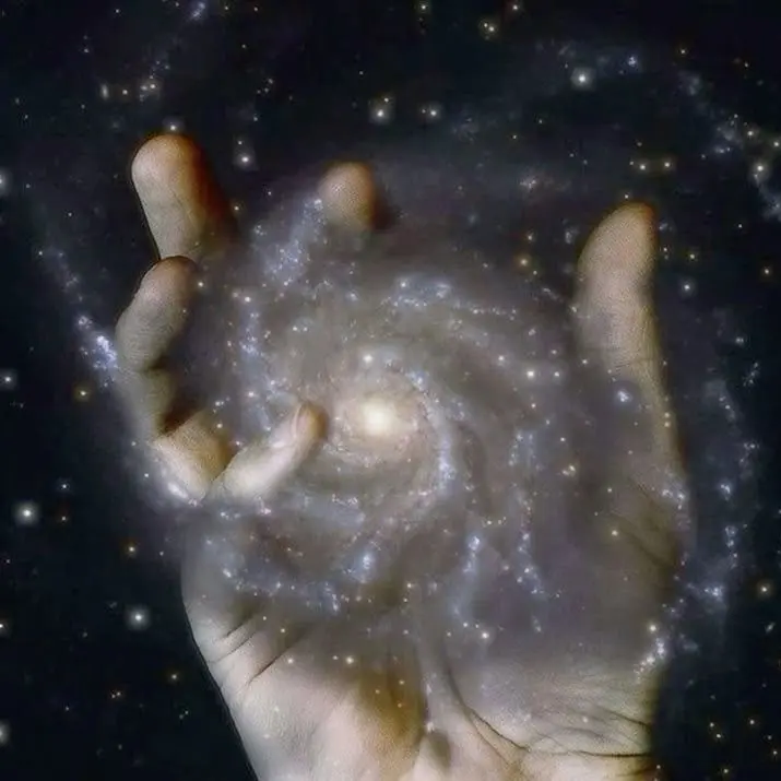 qtxz3_의 (ᐡっ ̫ •̥⸝⸝ᐡ)