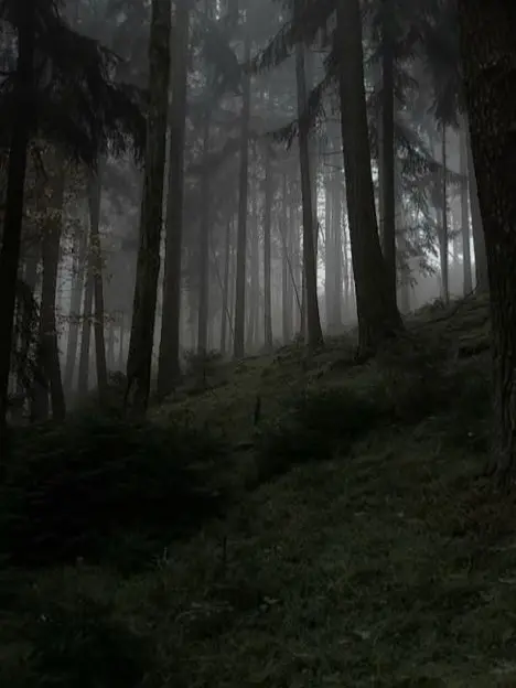 keira__ROSEEE의 he loves them so much he wiped their memory..