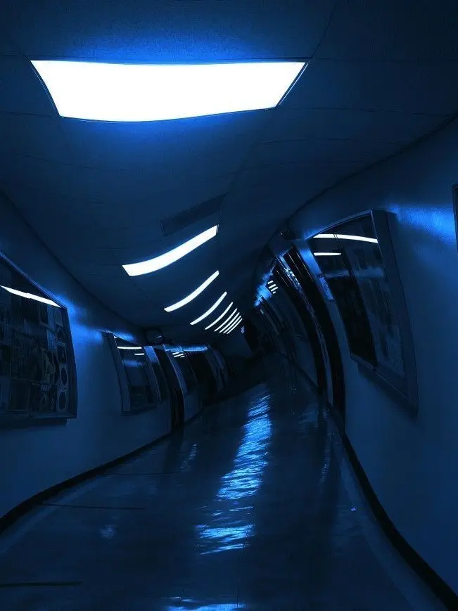 _paradise의 센티넬버스