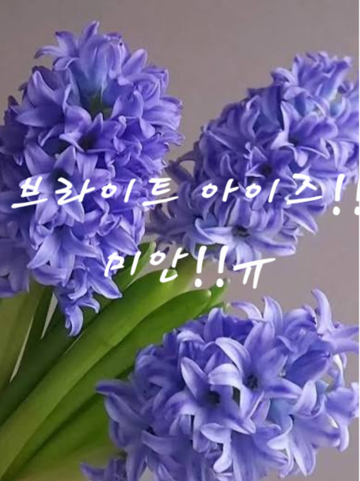 브라이트 아이즈~ 내가 잘못했엉ㅠ 대표 이미지