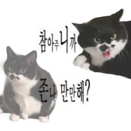 BluntOrgan6649의 야옹은 뭔 야옹.