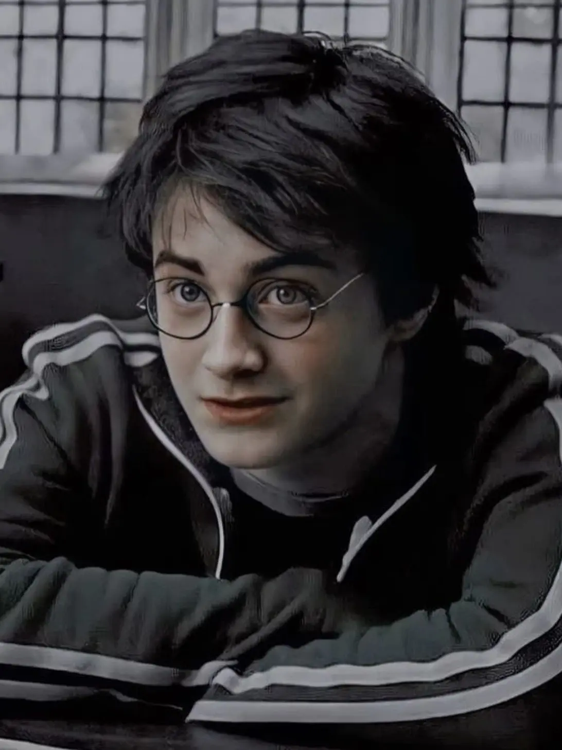 Hedgehoglover의 Harry Potter