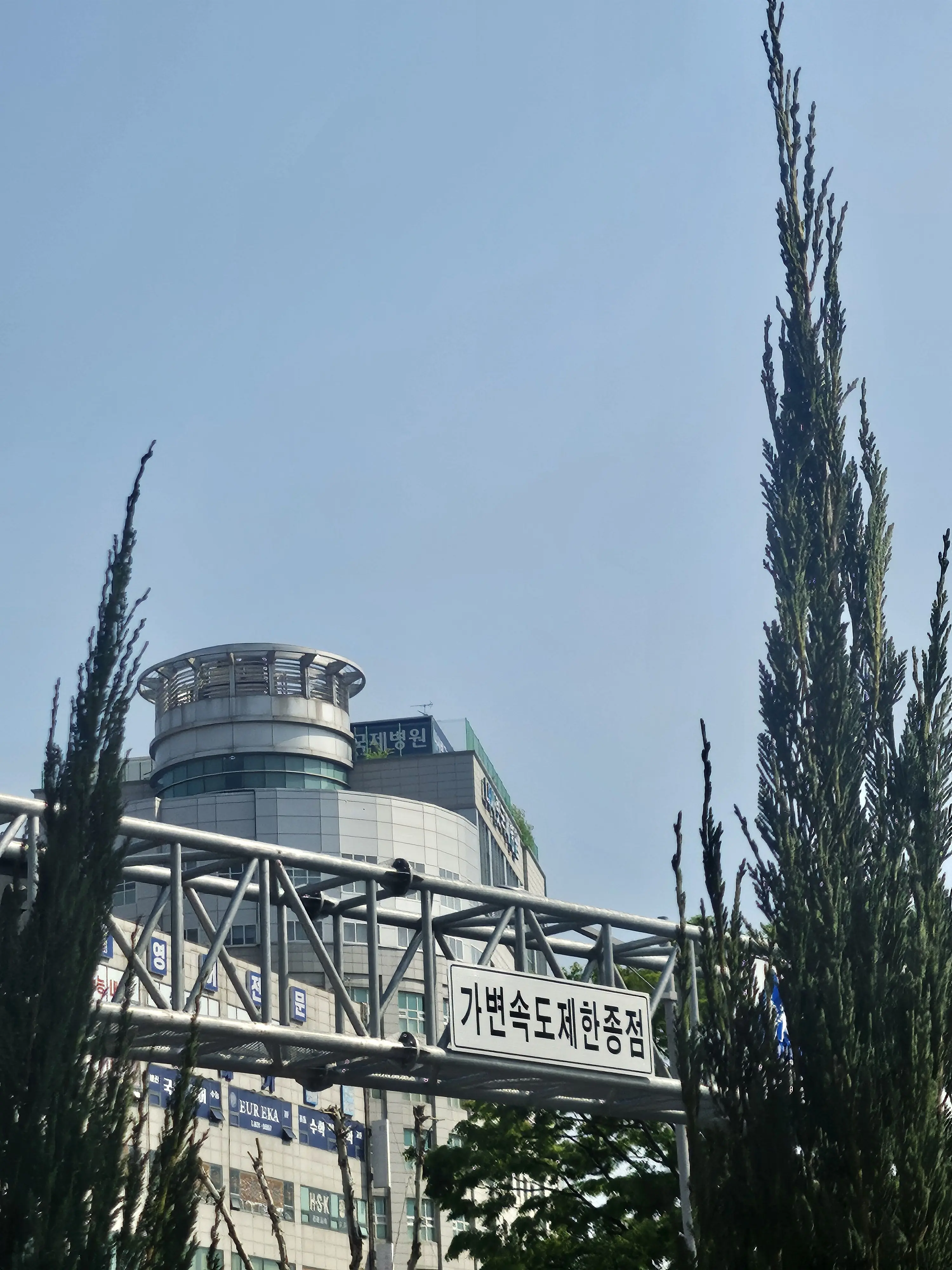realNONAME의 세구