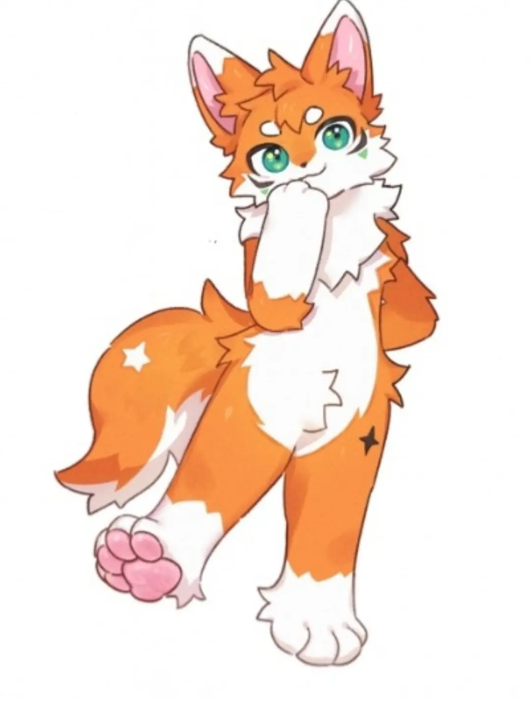 hsiwns8264의 시라드