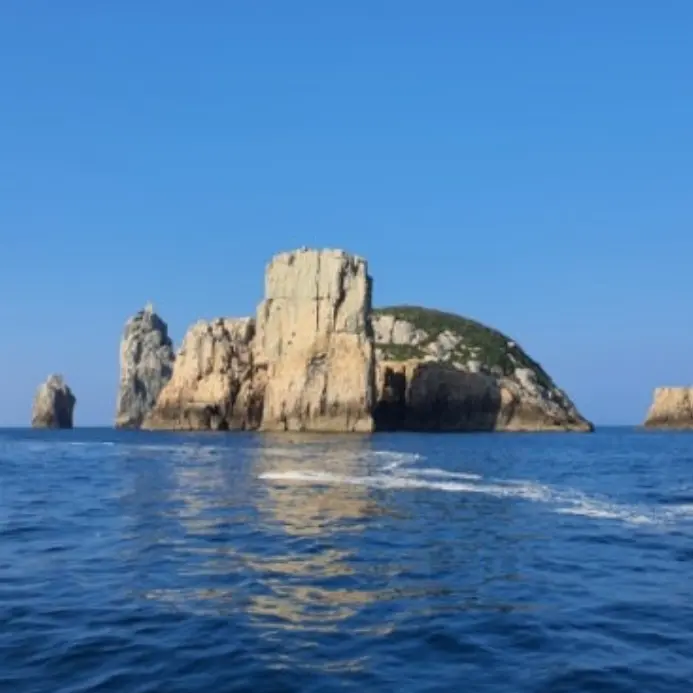 jjiiwon0626의 『거문애가/巨文哀歌』