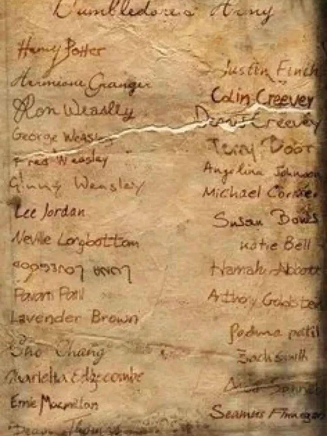 TimidGulf6320의 D.A