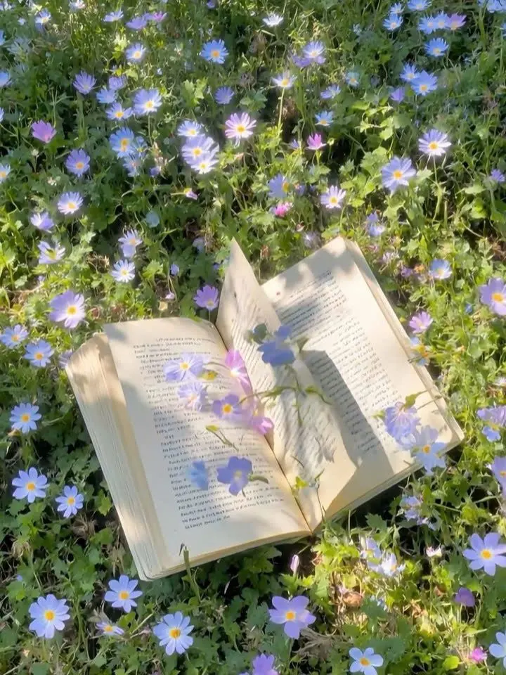 amachan의 神父…あの悪魔を今すぐ出禁にしてください