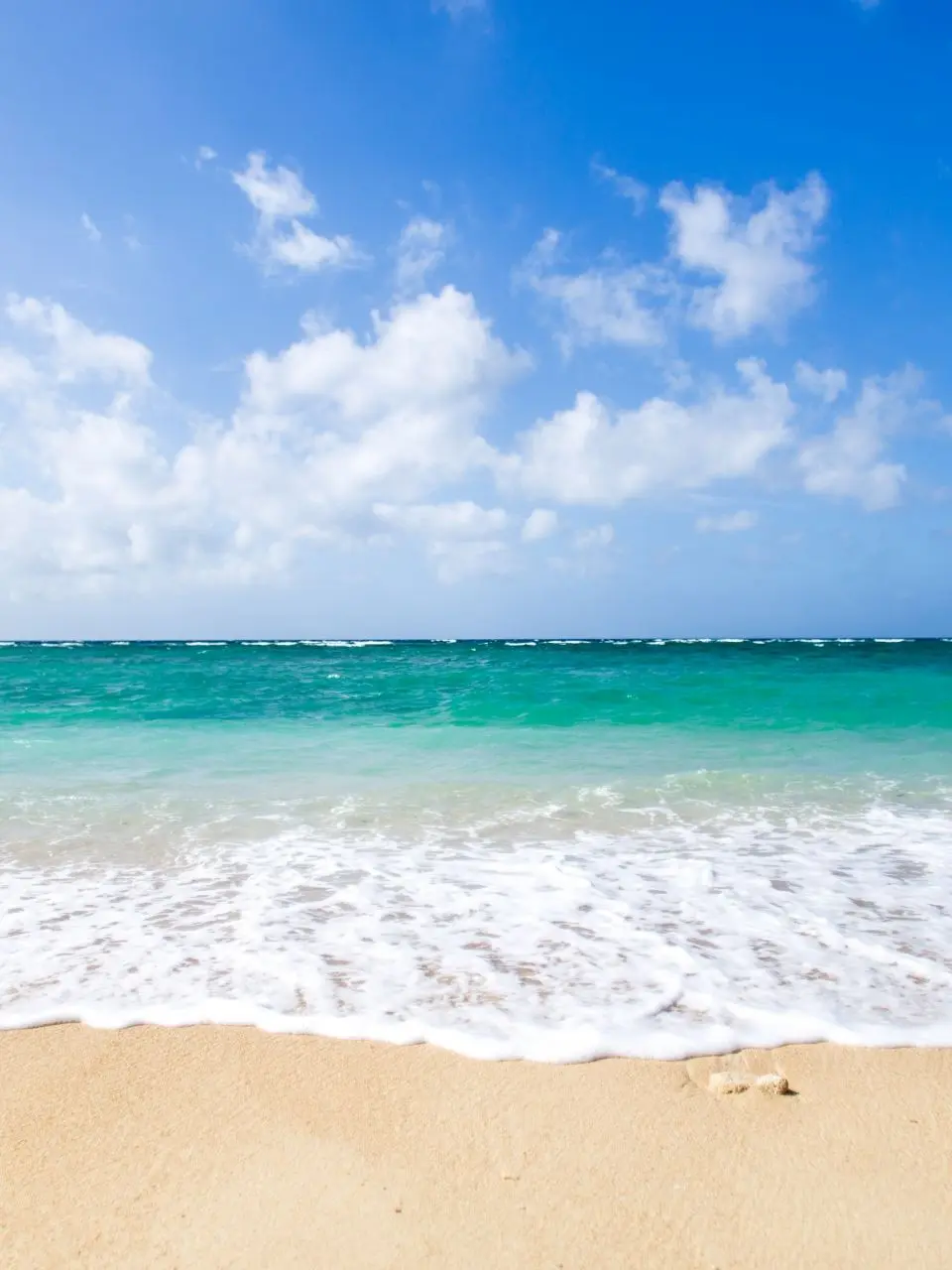 nanashisann의 Summer! Sea! Beach Day!!
