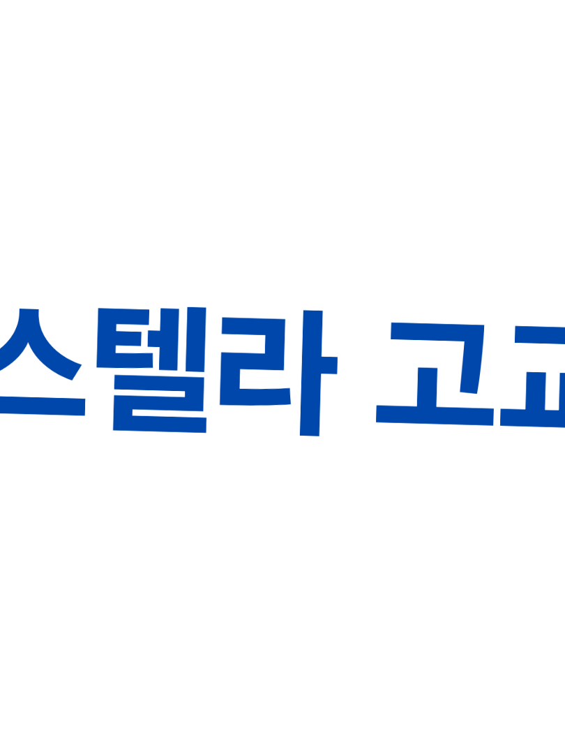 스텔라고교 대표 이미지