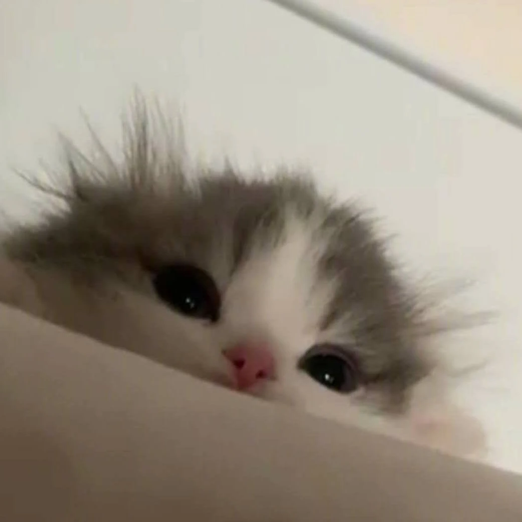 혐관