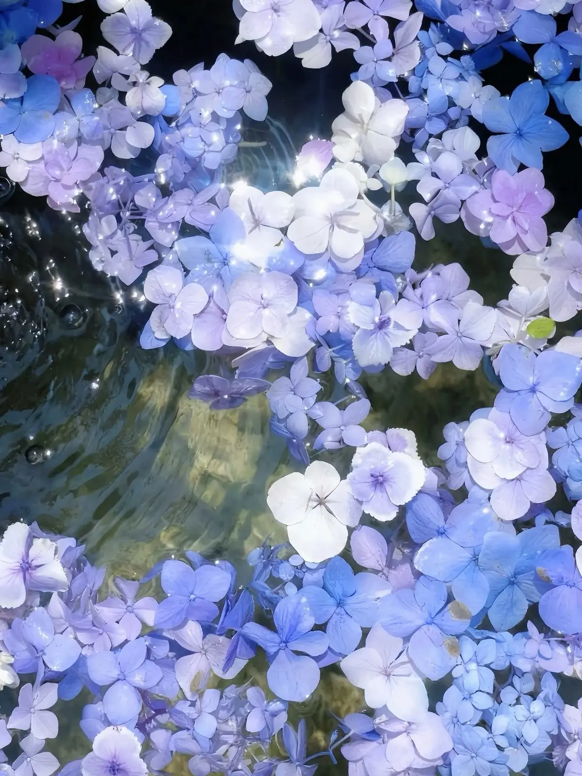 OOO_OOO_O의 花と恋と夢