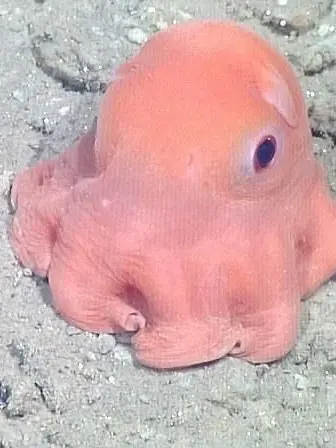 OvalLemon7888의 와.. 어떡하지..