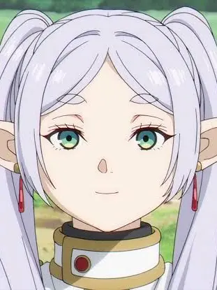 CrazySale0747의 葬送のフリーレン