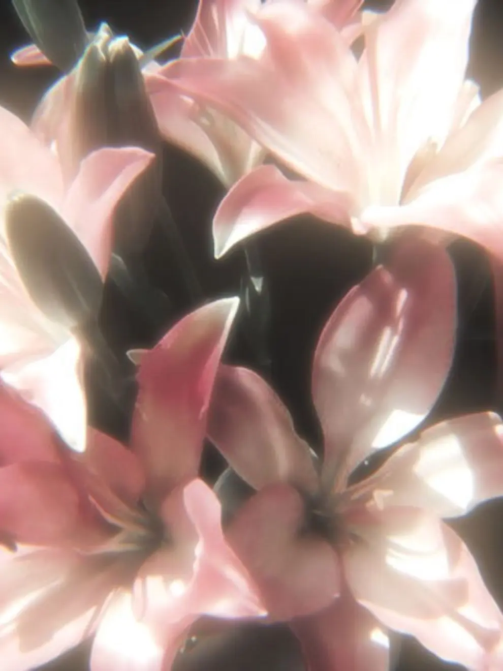 tallyou의 추락하는아픔을알아버렸니