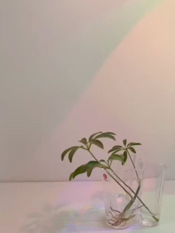 내최애 크루들의 수학여행((여우있)) 대표 이미지