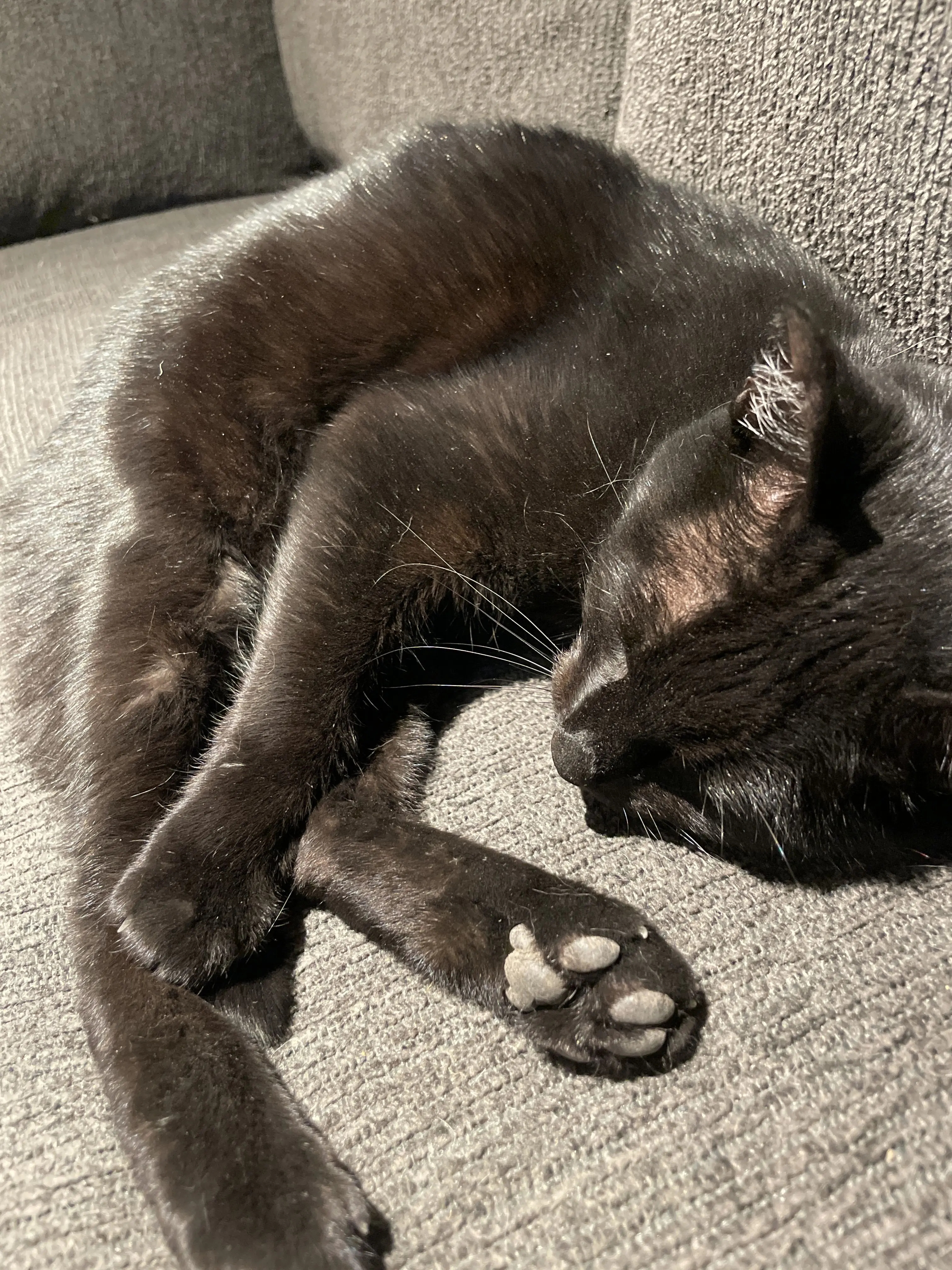 ModestPlane9821의 Road Trip