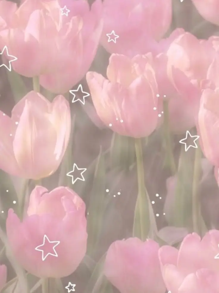 PastelMoon7574의 ドSたろう