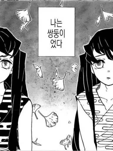 HerbalLinen9430의 무이탄