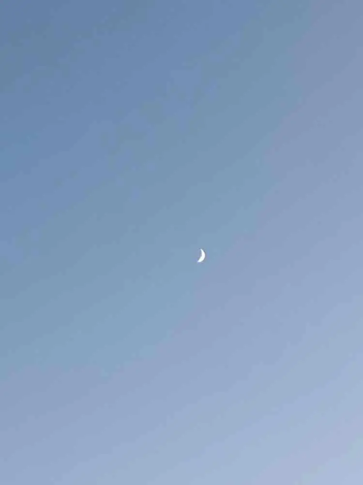 mon_miyu의 암과 싸우는 {{user}}