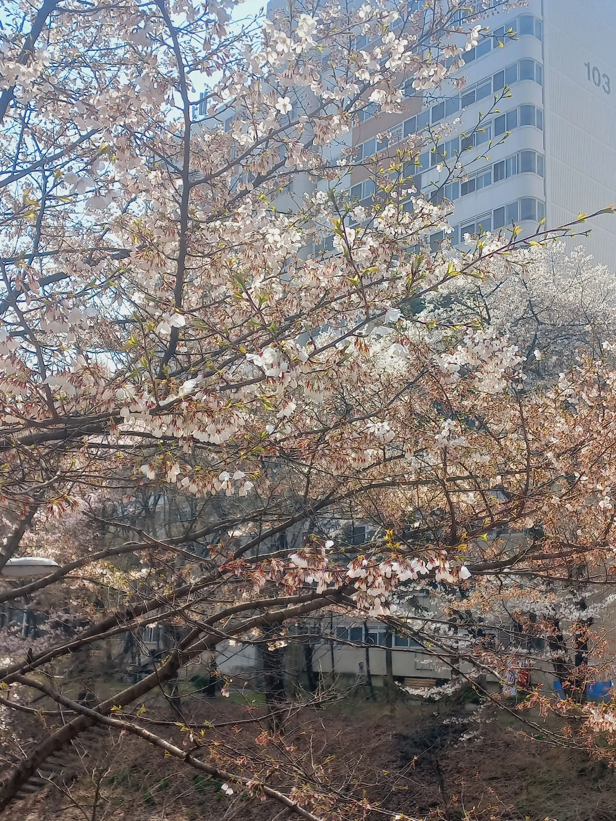 happy0226의 자유로운 주제