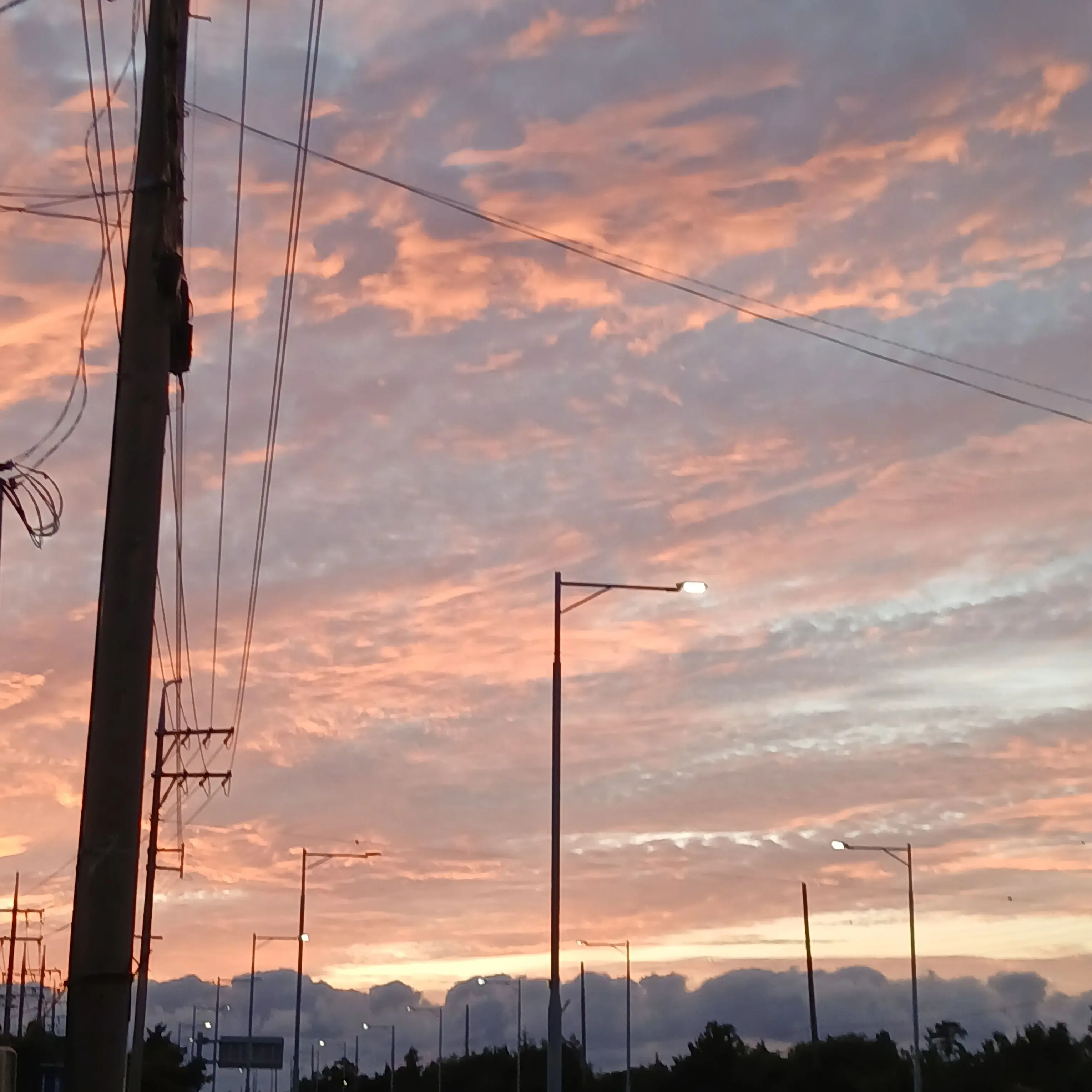 Fluffy_sunny의 이젠 누가 땅꼬마일까?