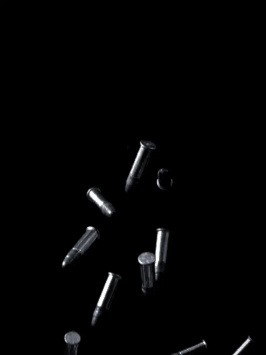 TangyVole1409의 White Bullet