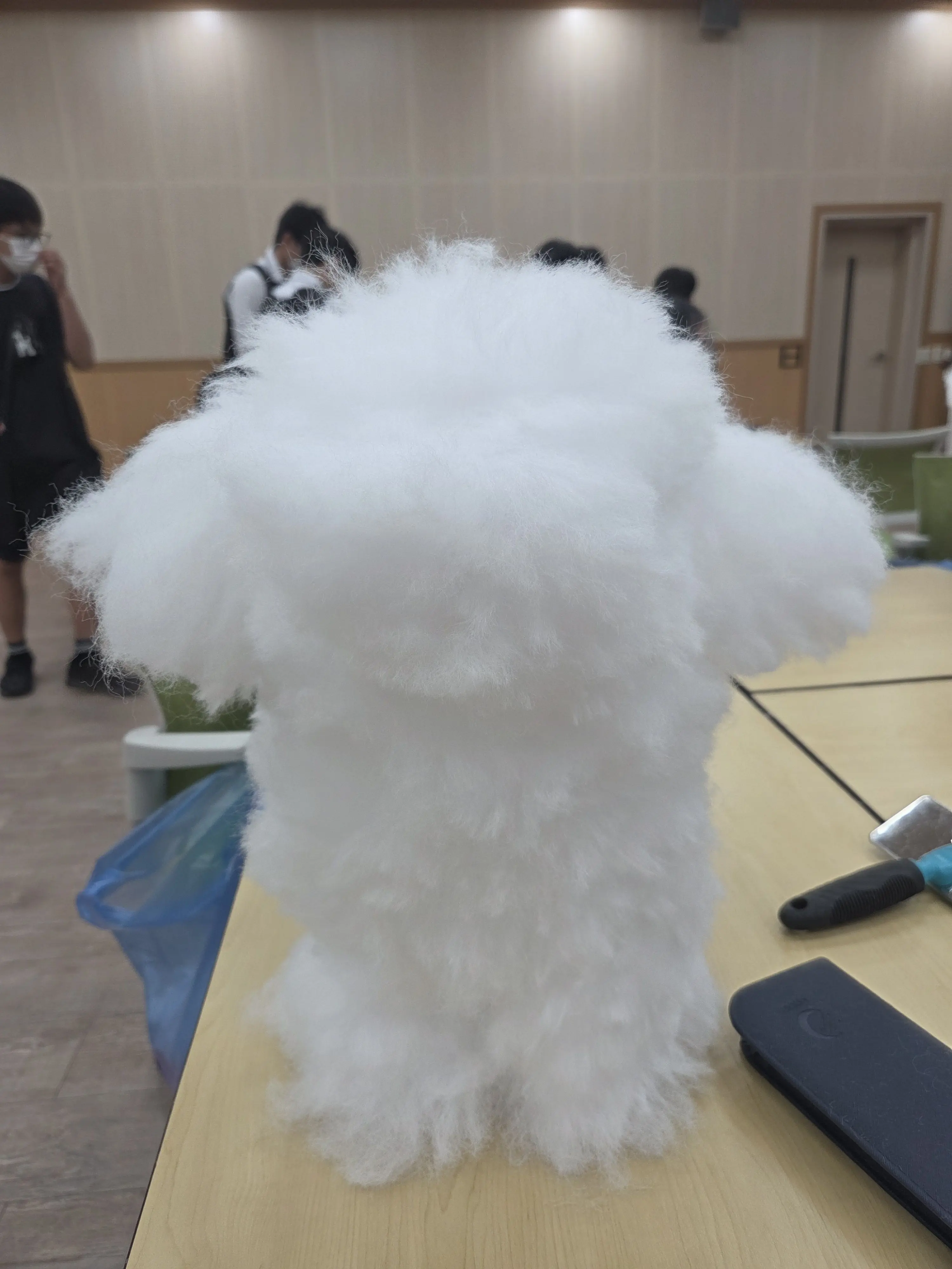 Galaxy09236846의 サンジンとウンソル