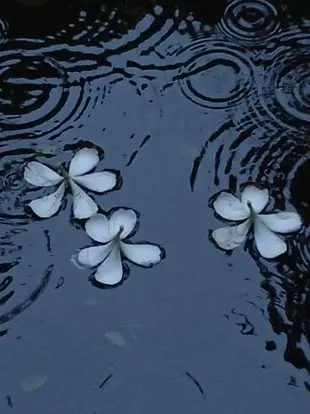 Zawa_212의 私の推しを集めただけ！！