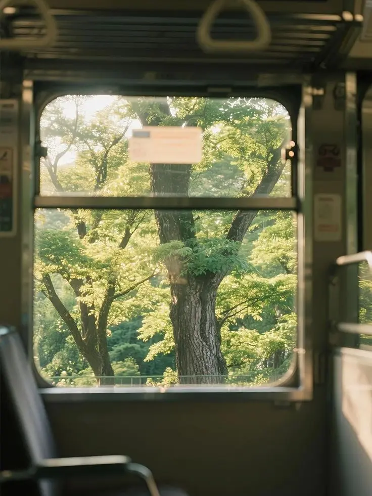 I_am_sugar의 🏡모여봐요 미남의숲🌳