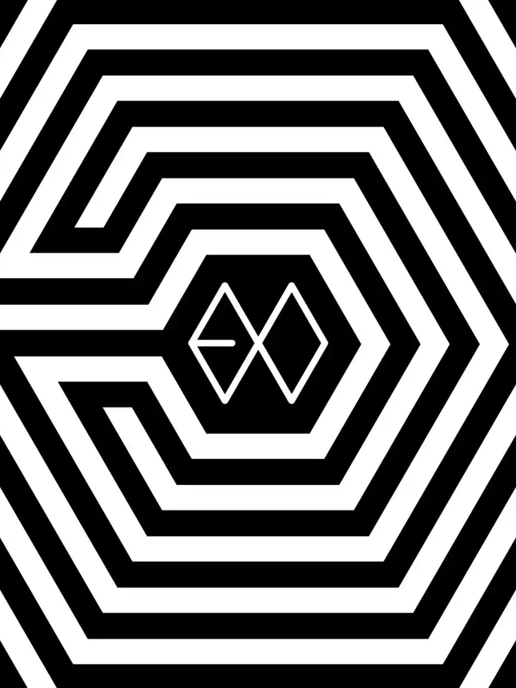 EXO 중국인 대표 이미지