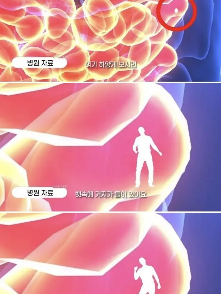 fertilizedegg13의 개인 만족용