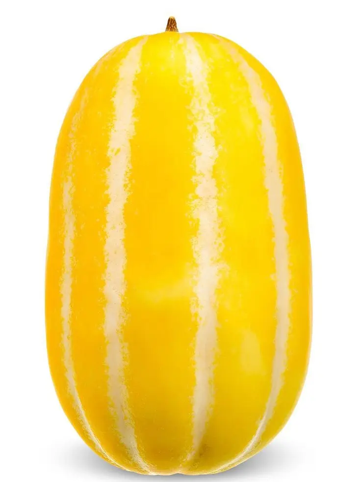 ABCDEFGHR의 참외쌤