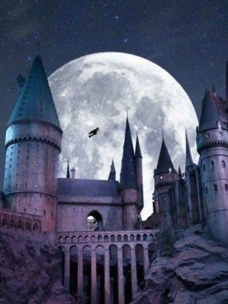 SpongyFlea1697의 Harry patter