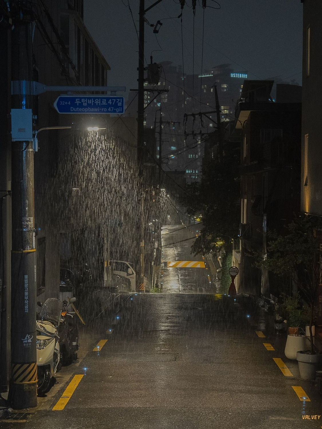 (๑¯∇¯๑) 대표 이미지
