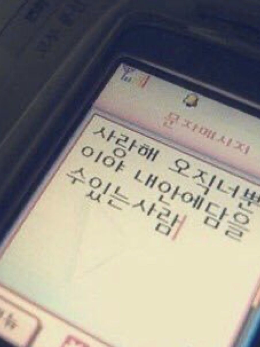 노유나 (gl) 대표 이미지