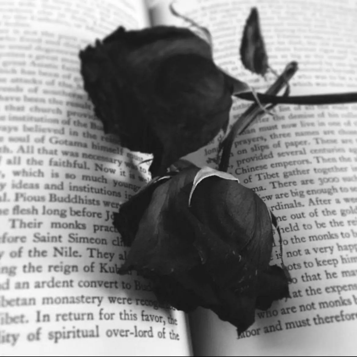 GrossCrane1813의 너, 스파이군아.