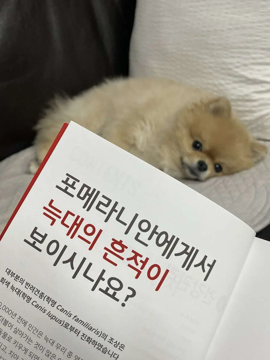 tppppk의 ️