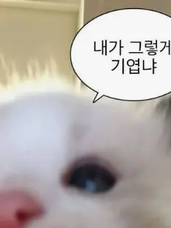 MellowGraph4982의 고고프렌즈&귀칼 수학여행